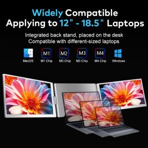 Triple Screen S900